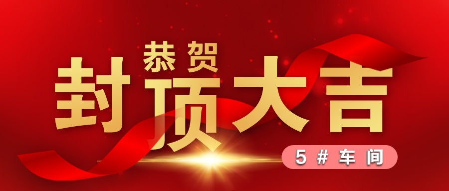熱烈祝賀5#車間封頂大吉！